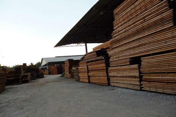Sawn-Timber-1 Sawn-Timber-1
