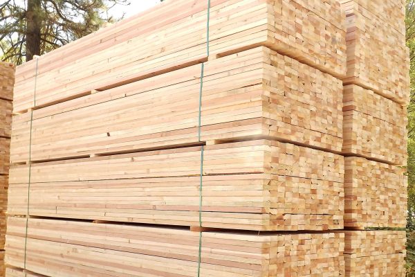 douglas_fir_2x4_21-scaled douglas_fir_2x4_21-scaled